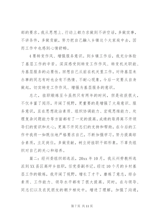 某年到乡镇挂职锻炼的工作总结范文.docx