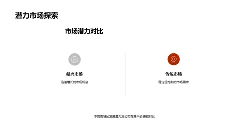 公司战略及业绩分析