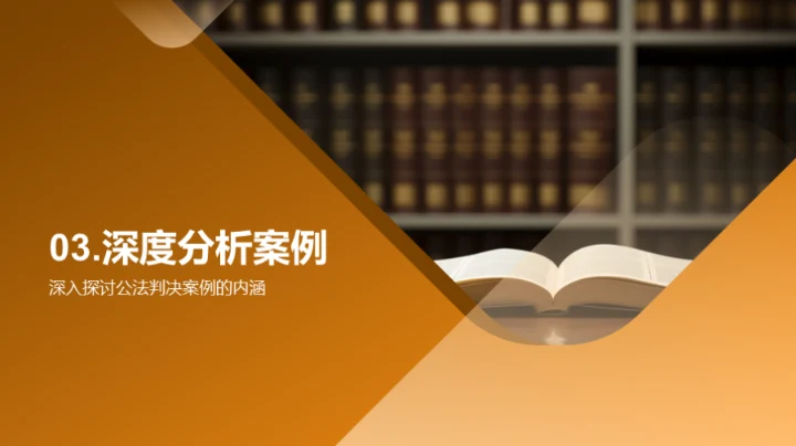 公法判决全解析