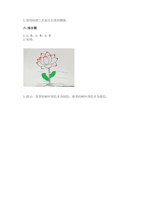 教科版一年级上册科学期末测试卷（中心小学）.docx