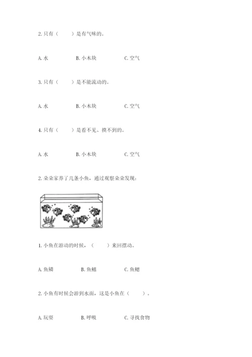 教科版一年级下册科学期末测试卷（考点提分）.docx