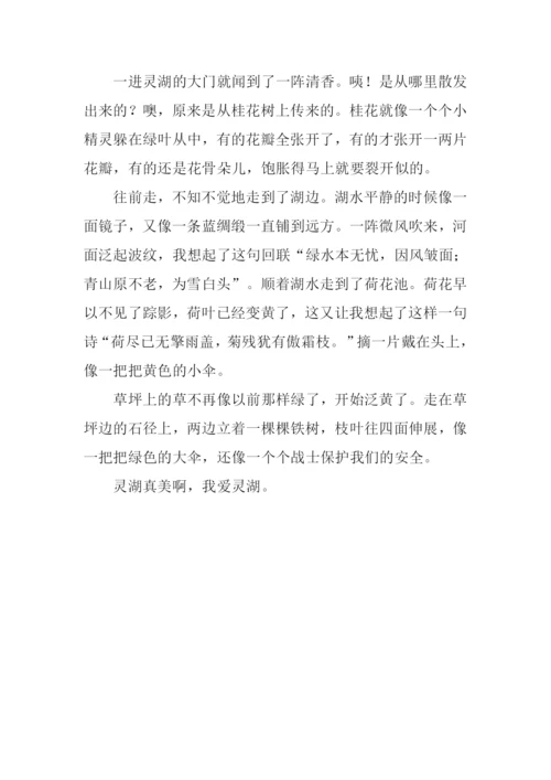 美丽的灵湖作文300字.docx