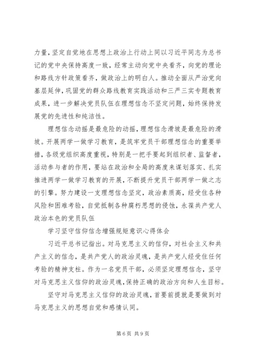 学习坚守信仰信念增强规矩意识心得体会.docx