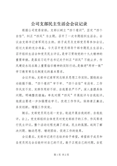 公司支部民主生活会会议记录.docx