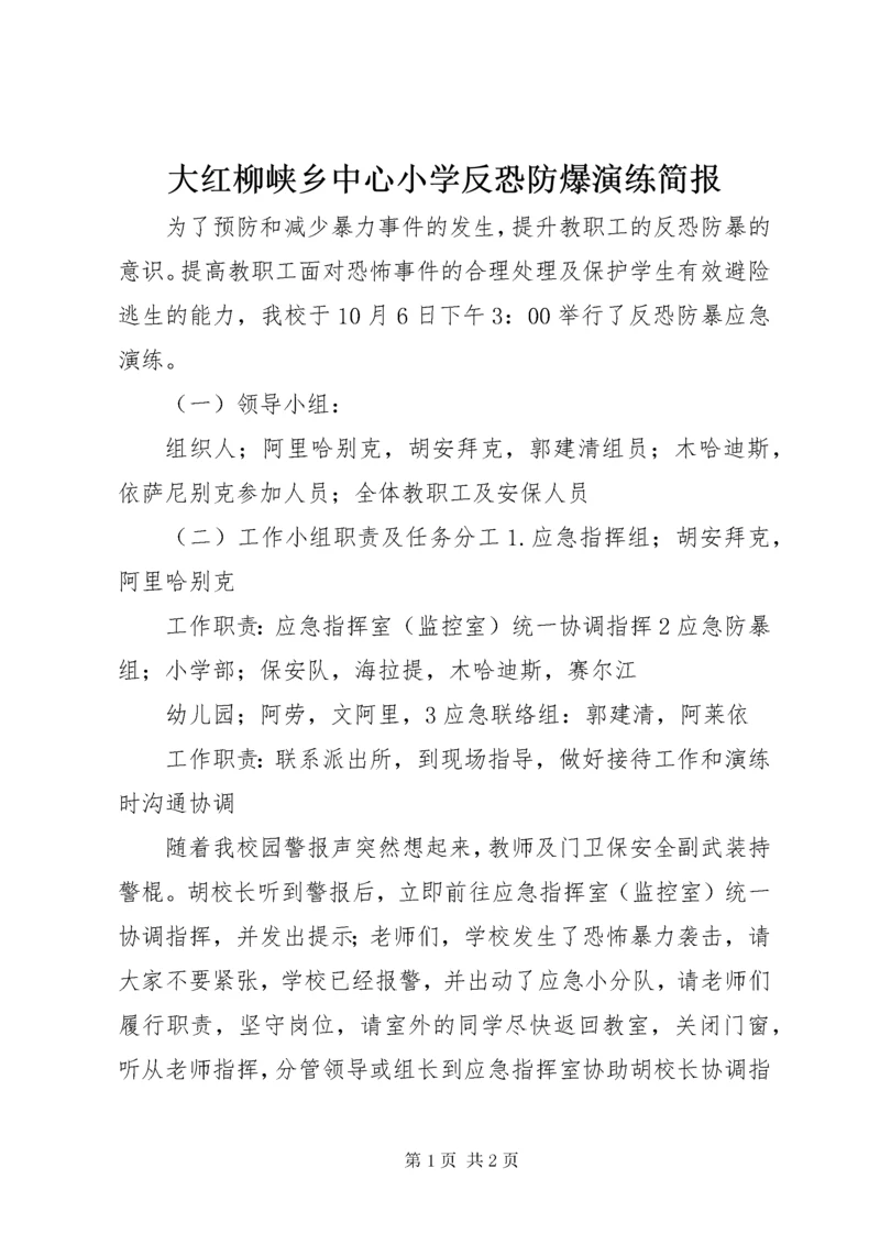 大红柳峡乡中心小学反恐防爆演练简报.docx