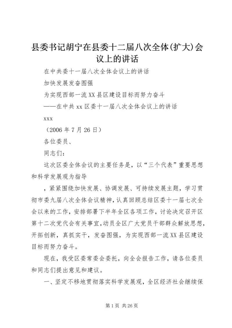 县委书记胡宁在县委十二届八次全体(扩大)会议上的讲话 (3).docx