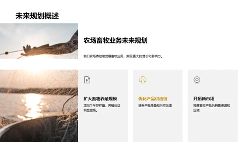 畜牧业务盘点
