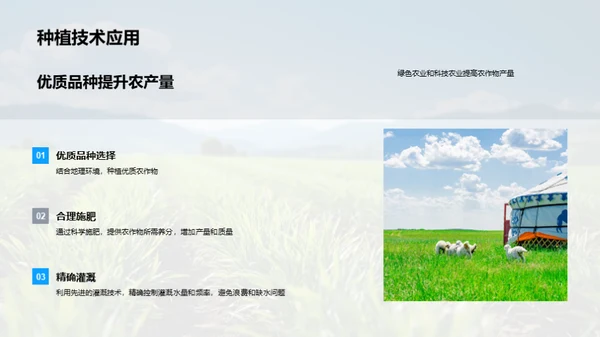 农业绿色革命