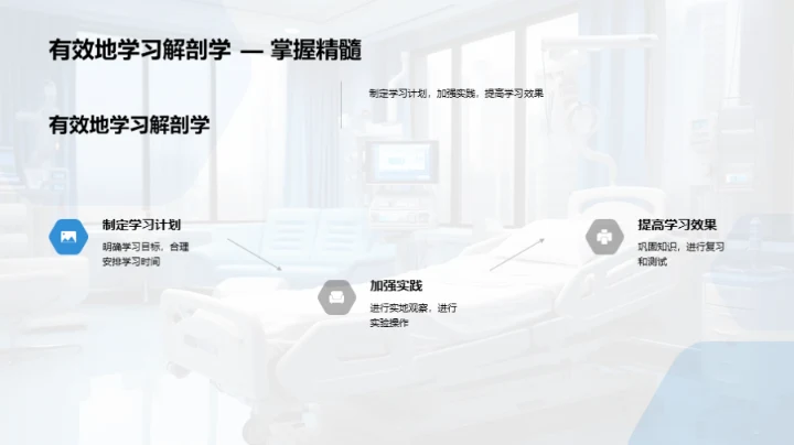 人体解剖学探索