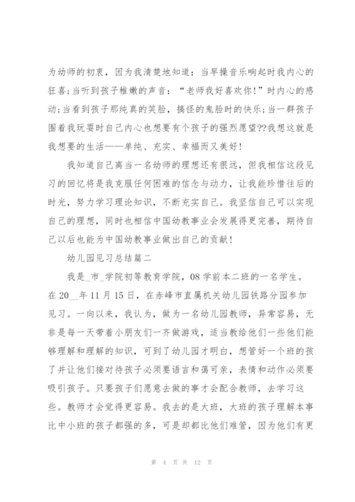 幼儿园见习总结5篇.docx