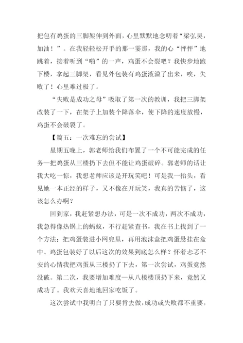 一次难忘的尝试作文300字.docx