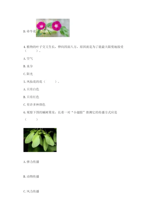 教科版四年级下册科学第一单元《植物的生长变化》测试卷精品【夺冠】.docx