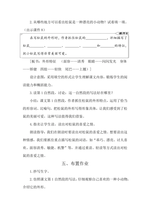 17 松鼠 教案