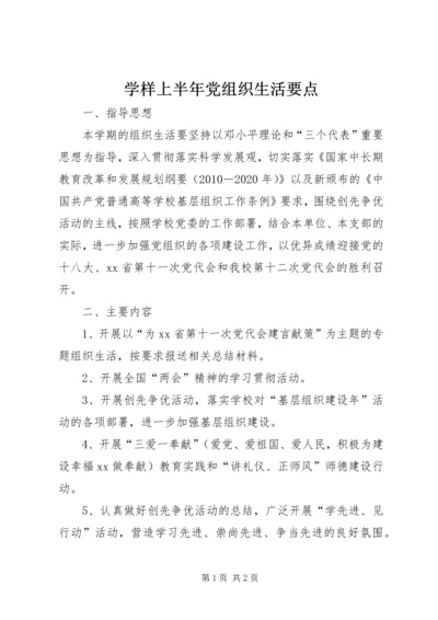 学样上半年党组织生活要点.docx
