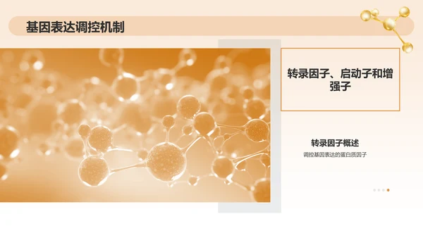 橙色3D风分子生物学PPT模板