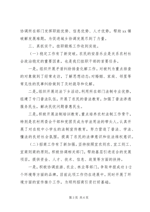 乡镇挂职工作情况报告总结.docx