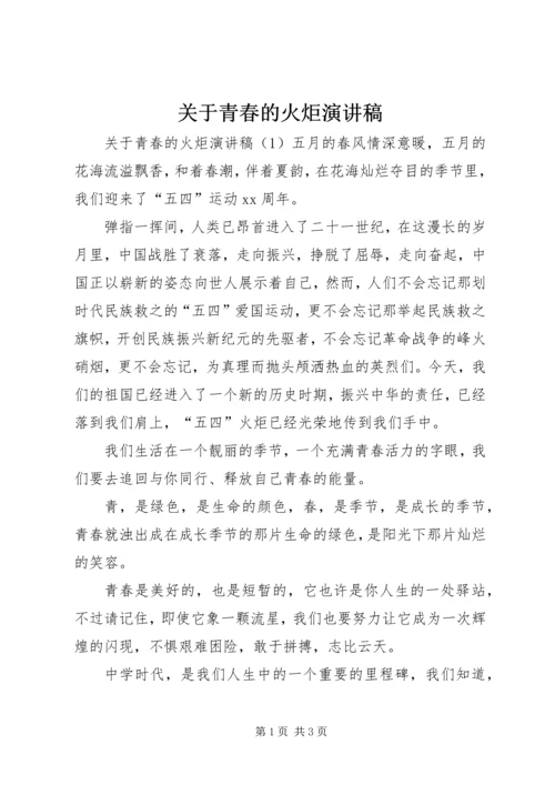 关于青春的火炬演讲稿.docx