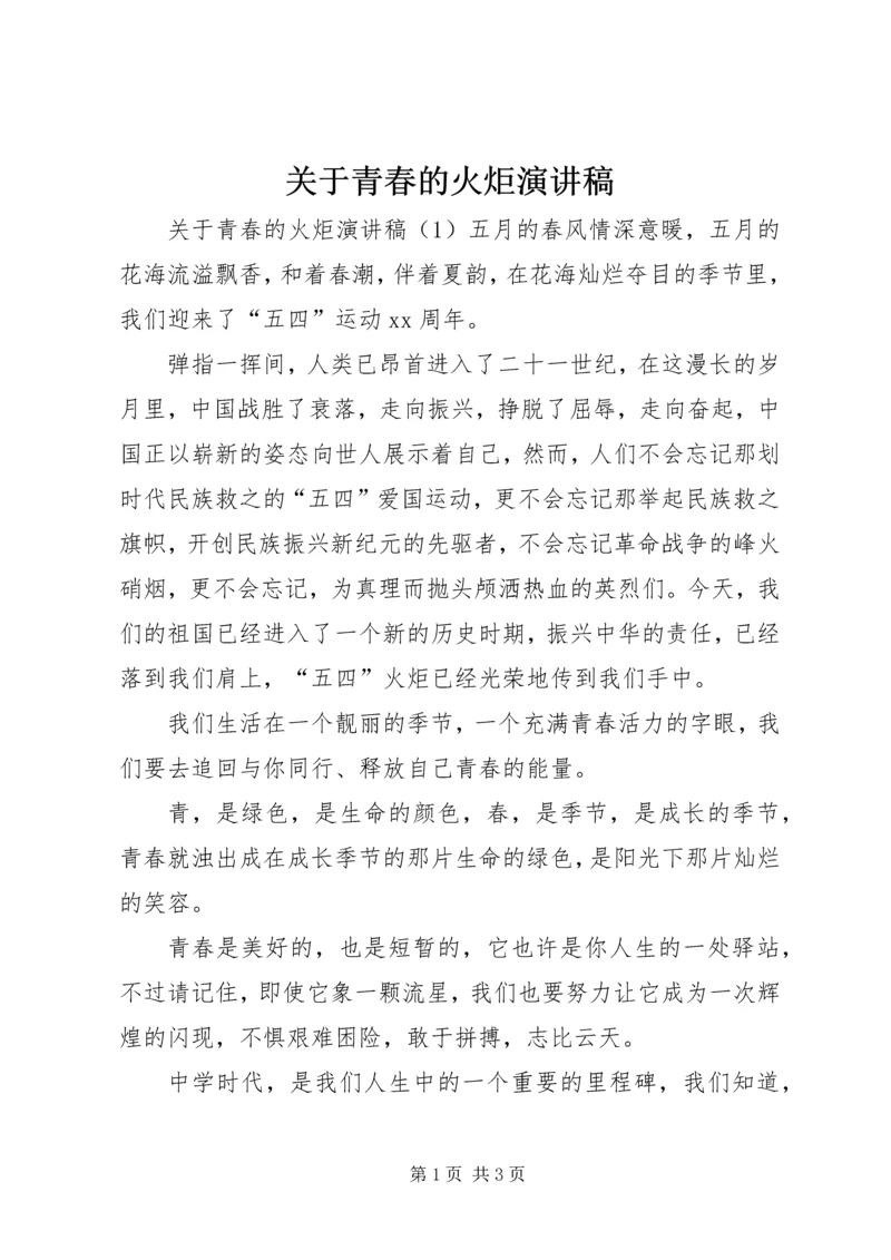关于青春的火炬演讲稿.docx
