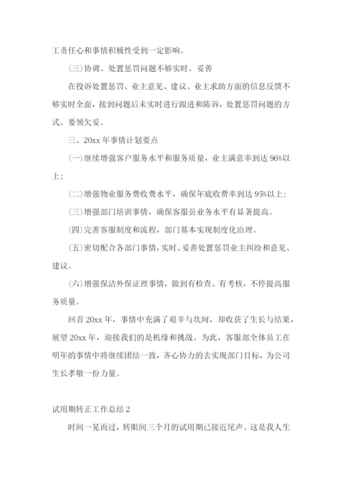 试用期转正工作总结15篇.docx