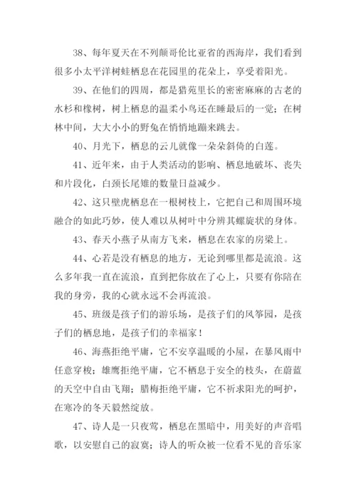 栖息的近义词是什么.docx