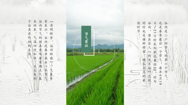 二十四节气谷雨通用PPT模板