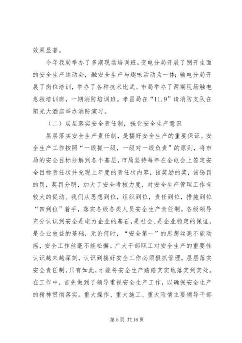 电力局安全保卫工作总结及计划 (3).docx