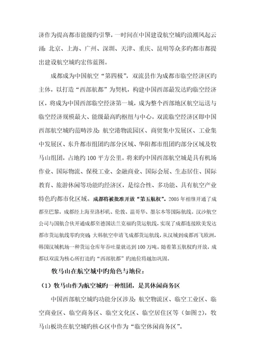 王志刚成都牧马新城战略策划报告