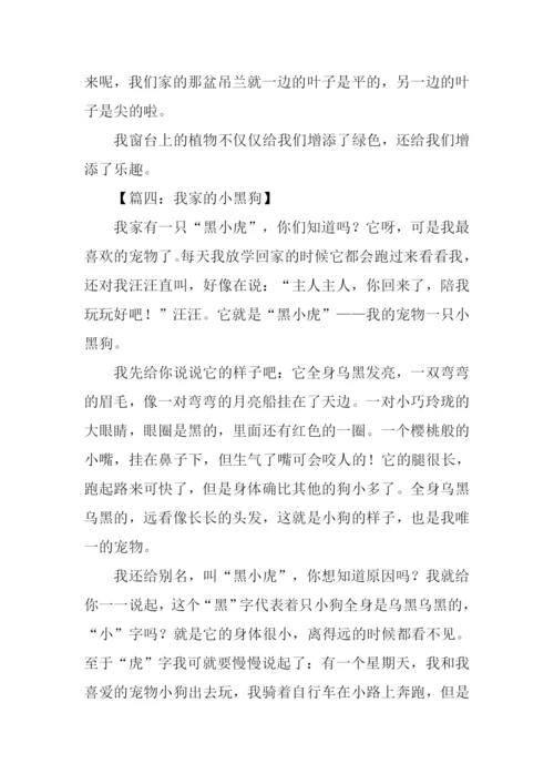 写物的作文500字.docx
