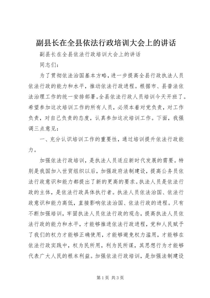 副县长在全县依法行政培训大会上的讲话.docx