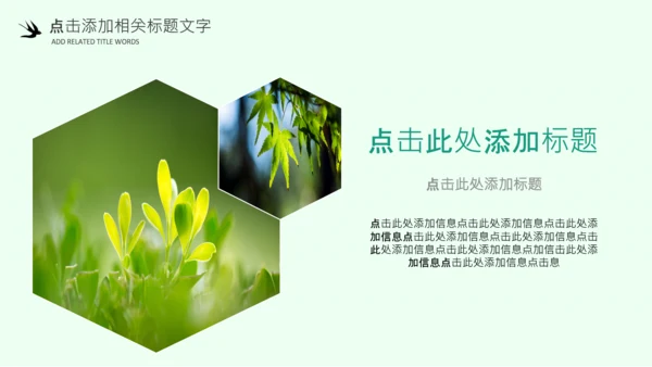 清明节气清新绿色清明节踏青PPT模板