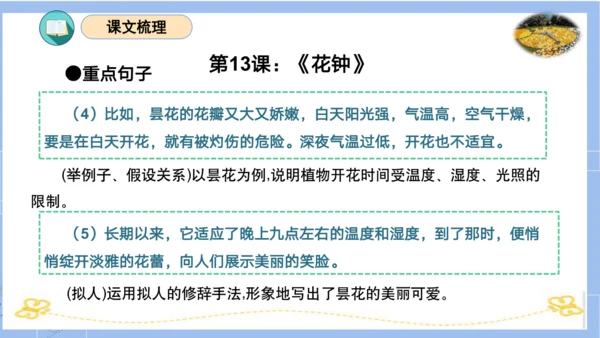 统编版三年级语文下册同步高效课堂系列第四单元（复习课件）