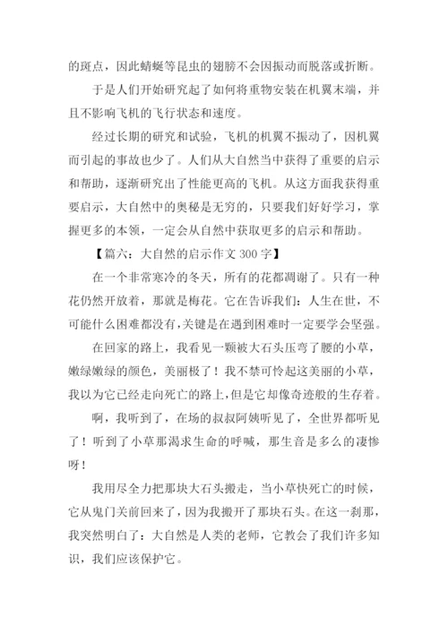 什么的启示作文300字.docx