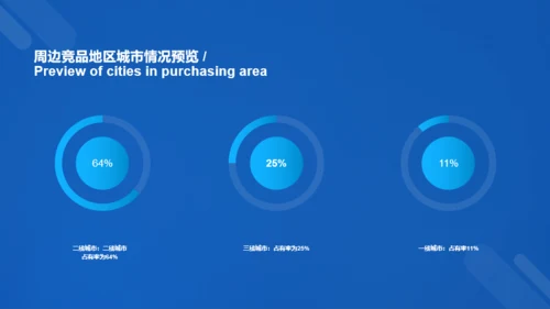 蓝色科技二级城市市场营销状况年度总结PPT案例