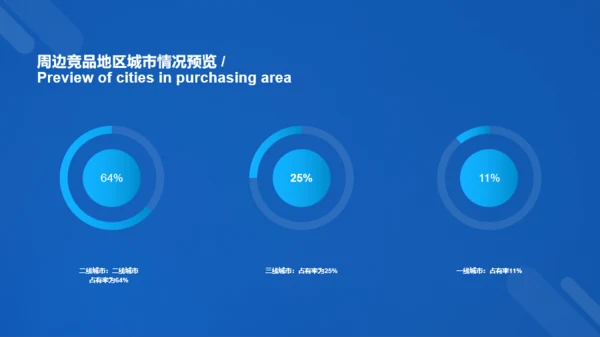 蓝色科技二级城市市场营销状况年度总结PPT案例