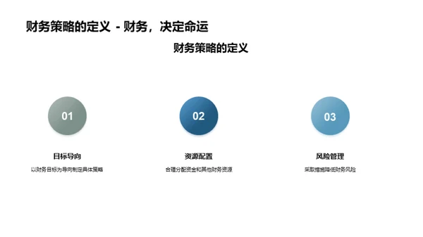 财务策略的探索与实践