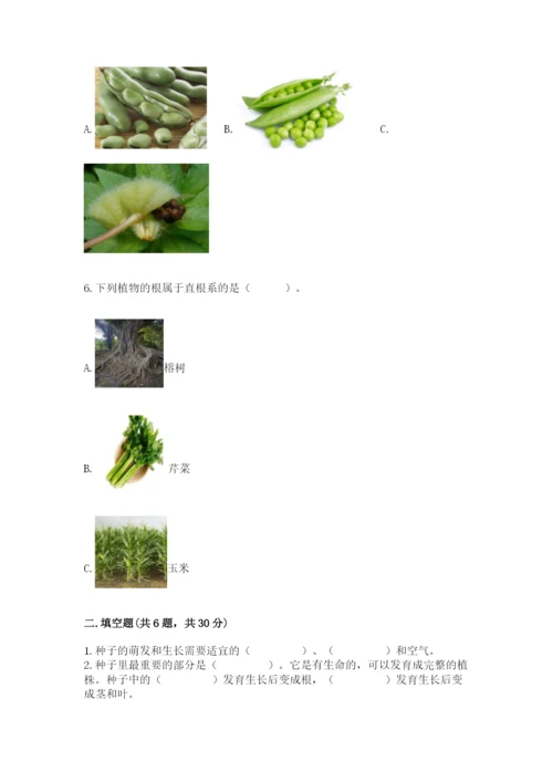 科学四年级下册第一单元植物的生长变化测试卷含完整答案【历年真题】.docx