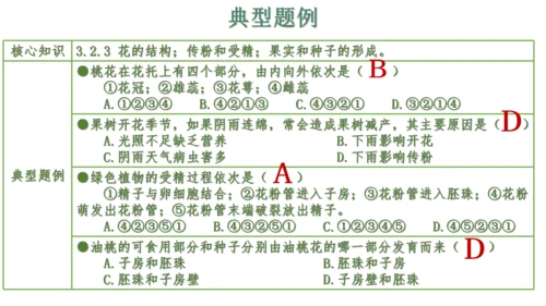 第三单元 植物的生活（单元复习课件）2023-2024学年七年级生物上册同步精品课件（人教版）(共3