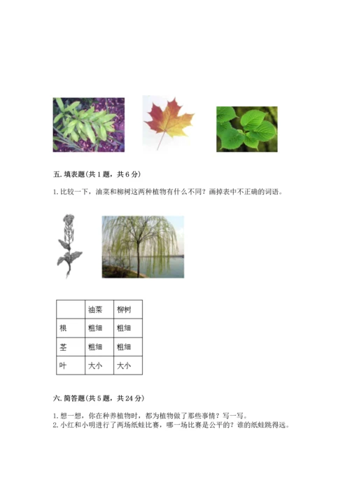 教科版一年级上册科学期末测试卷审定版.docx
