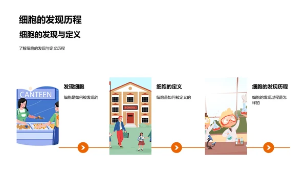 细胞结构与功能PPT模板