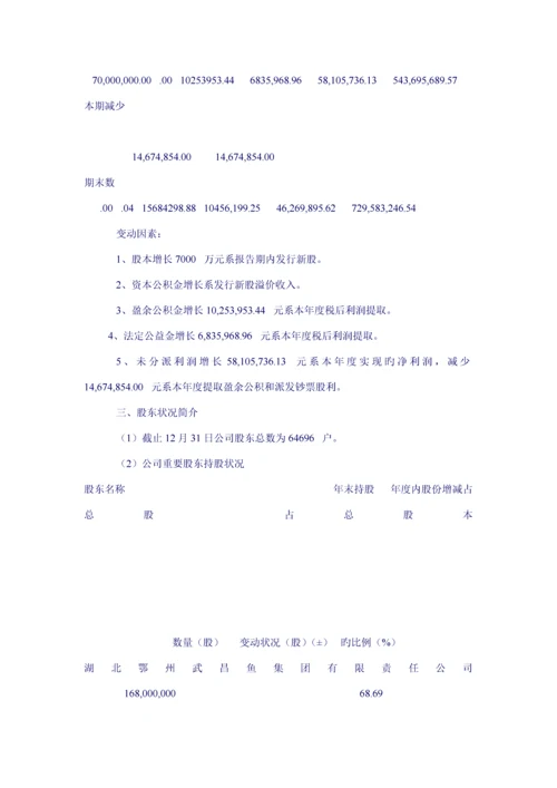 湖北公司年度专项报告.docx