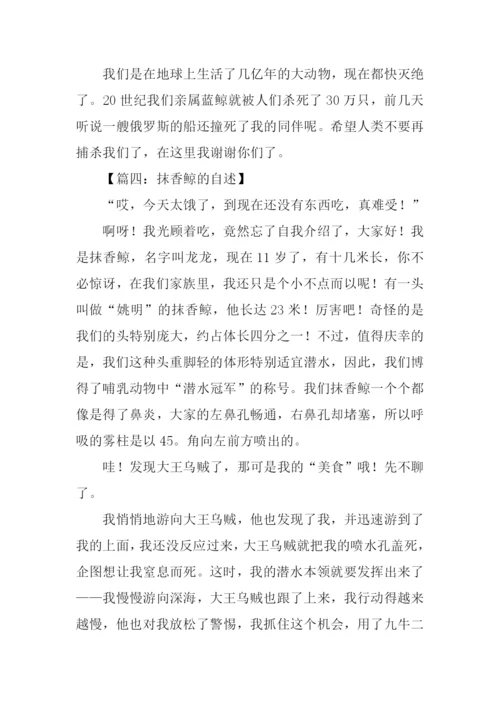 抹香鲸的自述500字.docx