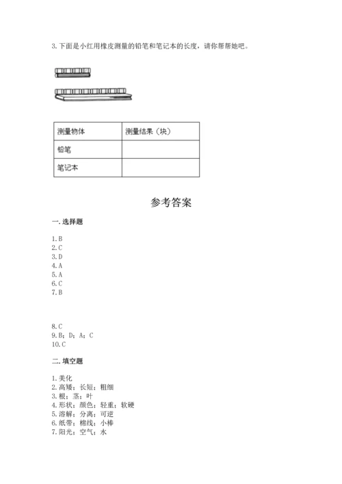 教科版一年级上册科学期末测试卷附答案【巩固】.docx