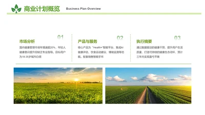 商务风含图片PPT流程