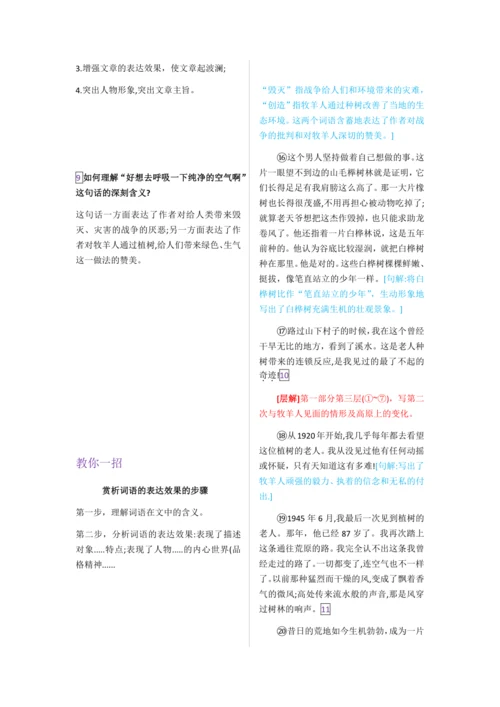 第十三课 植树的牧羊人【教材解读】教案