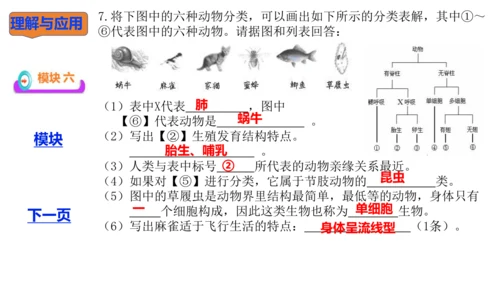 人教版生物七年级上册2.4.1《尝试对生物的分类》（教学课件）(共23张PPT)