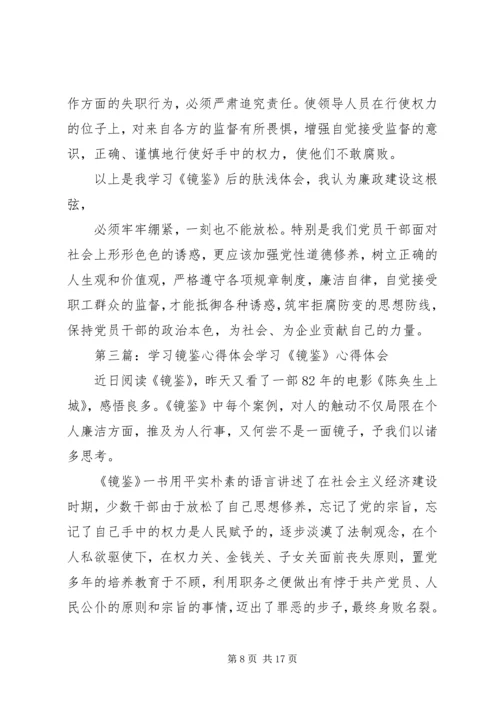 镜鉴学习心得体会2_1.docx