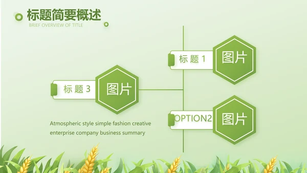乡村振兴农业生产宣传介绍动态PPT
