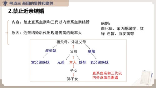 复习专题六生物的遗传与变异（串讲课件）-八年级生物上学期期末考点大串讲（人教版）(共23张PPT)