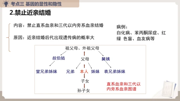 复习专题六生物的遗传与变异（串讲课件）-八年级生物上学期期末考点大串讲（人教版）(共23张PPT)