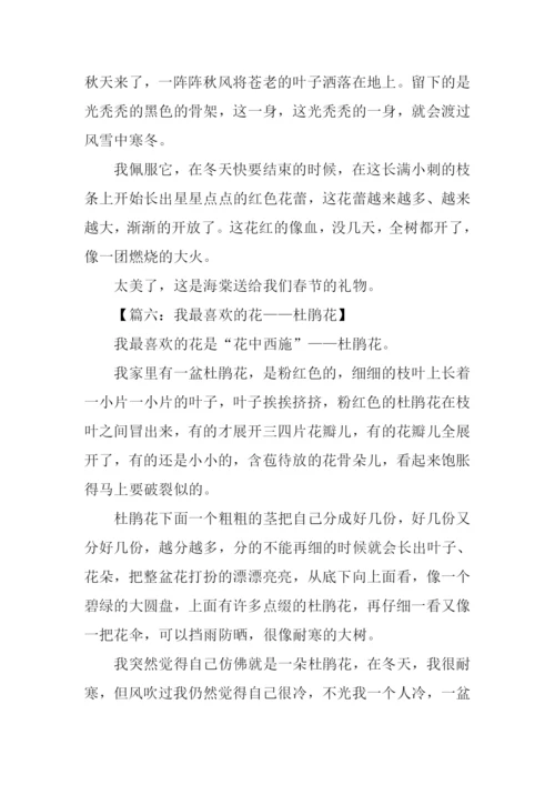 我最喜欢的花400字.docx